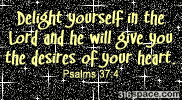 Psalms 37:4 Glitter Comment (Black)