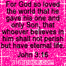 John 3:16 Glitter Icon (Pink)